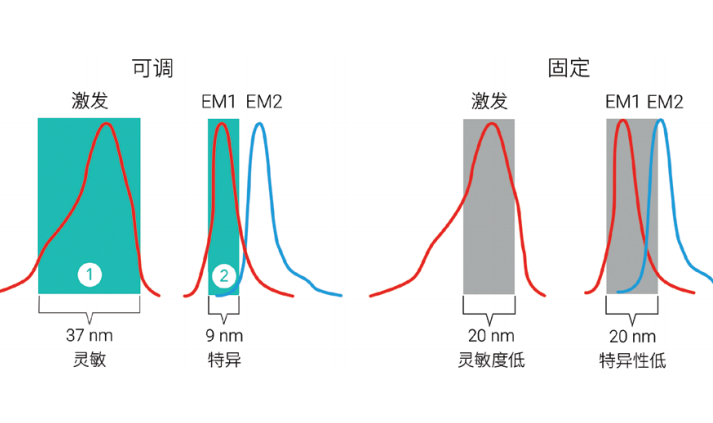 1753927176344055.png 3.png