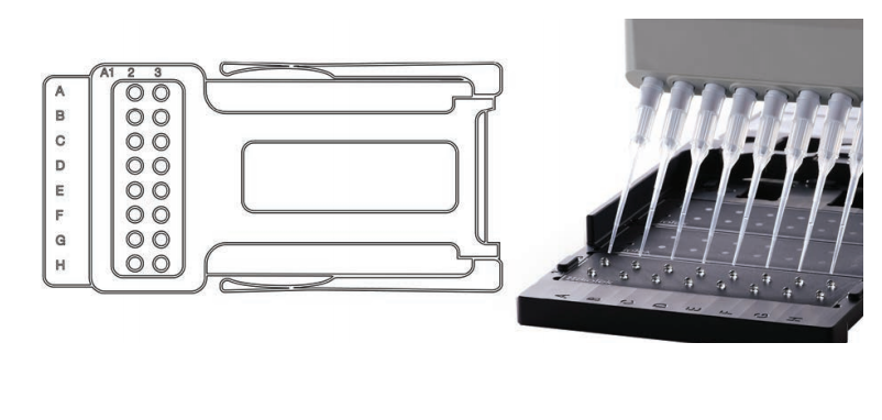 1753928050251887.png 4.png