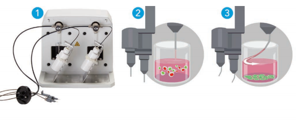 1753928102310330.png 8.png