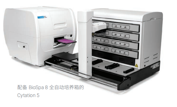 1753928132960969.png 11.png