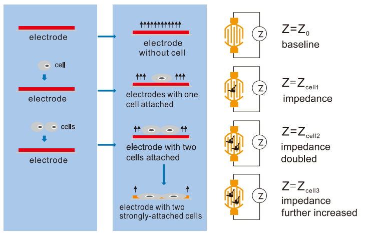 1756431406672221.png 3.png