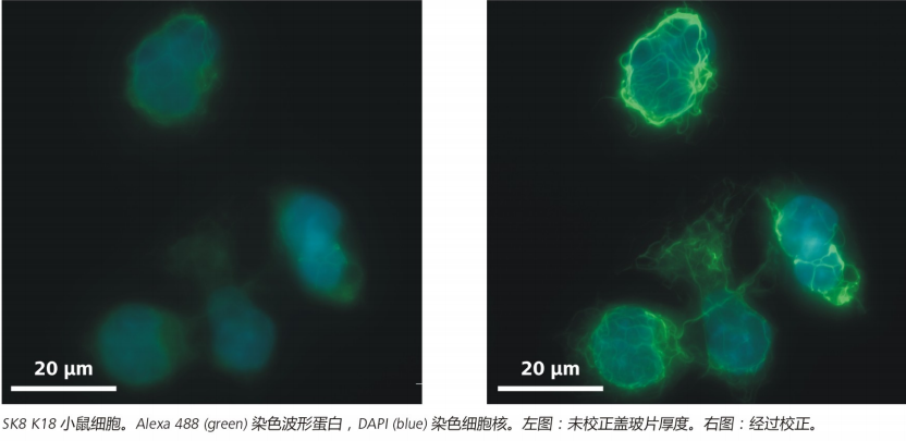 1756431609866369.png 5.png