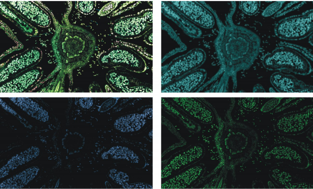 1756431635234577.png 9.png