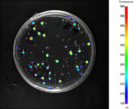 1756436540199450.png 5.png