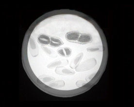 1756436563342949.png 7.png