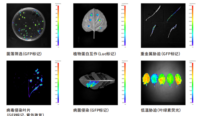 1756436583278521.png 8.png